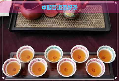 中期普洱茶好茶