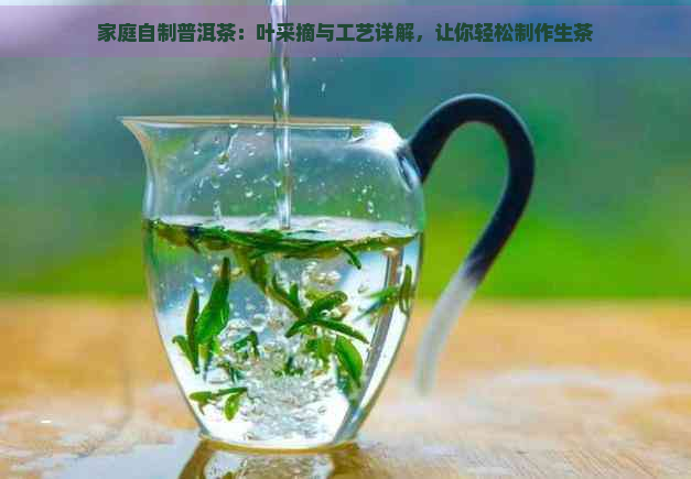 家庭自制普洱茶：叶采摘与工艺详解，让你轻松制作生茶