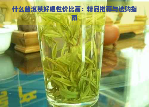 什么普洱茶好喝性价比高：精品推荐与选购指南