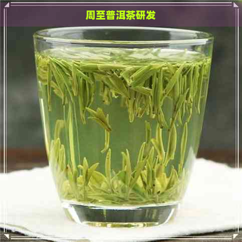 周至普洱茶研发