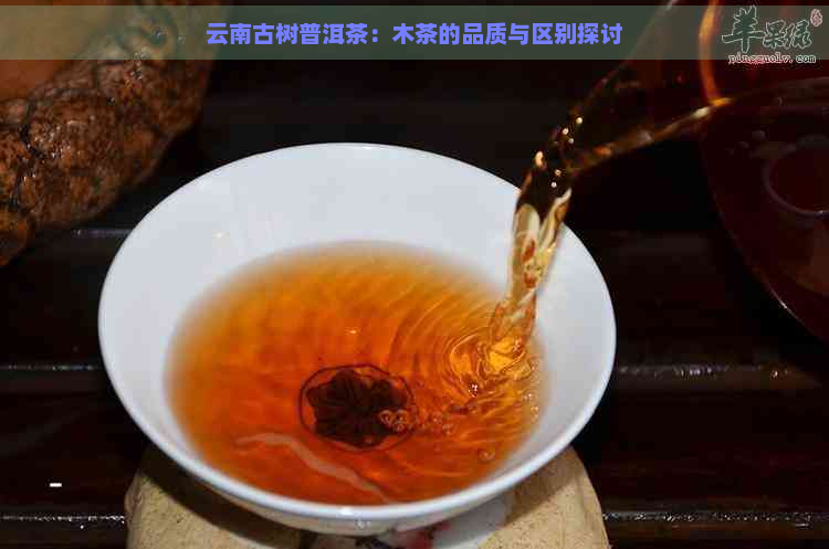 云南古树普洱茶：木茶的品质与区别探讨