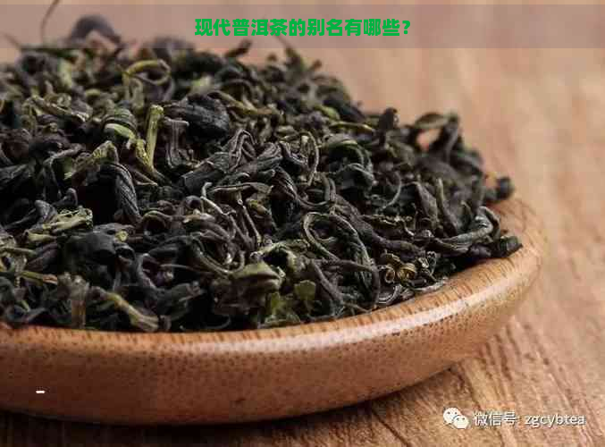 现代普洱茶的别名有哪些？