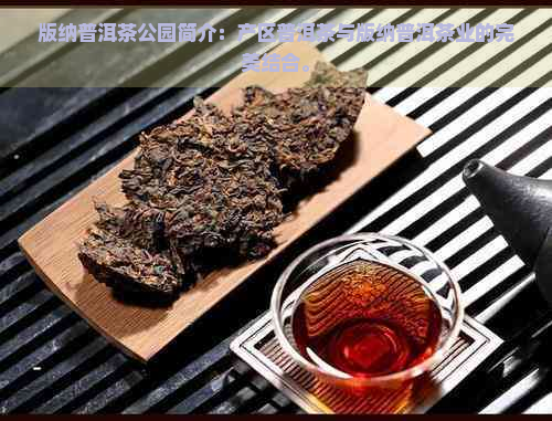 版纳普洱茶公园简介：产区普洱茶与版纳普洱茶业的完美结合。