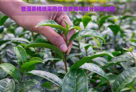 普洱茶棉纸采购信息查询与设计风格指南