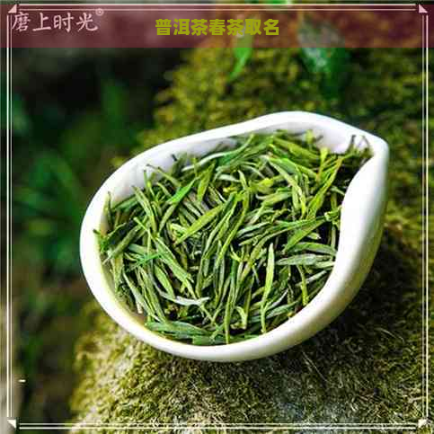 普洱茶春茶取名