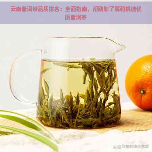 云南普洱茶品质排名：全面指南，帮助您了解和挑选优质普洱茶