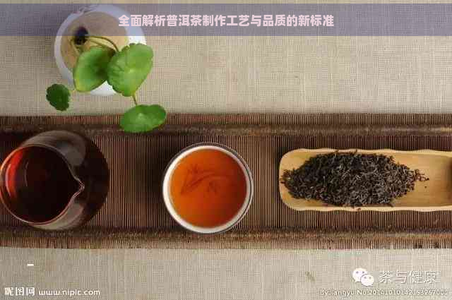 全面解析普洱茶制作工艺与品质的新标准