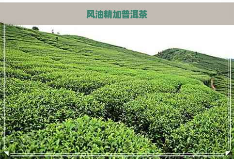 风油精加普洱茶