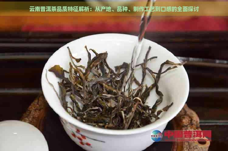 云南普洱茶品质特征解析：从产地、品种、制作工艺到口感的全面探讨