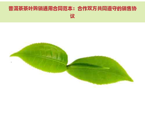 普洱茶茶叶购销通用合同范本：合作双方共同遵守的销售协议