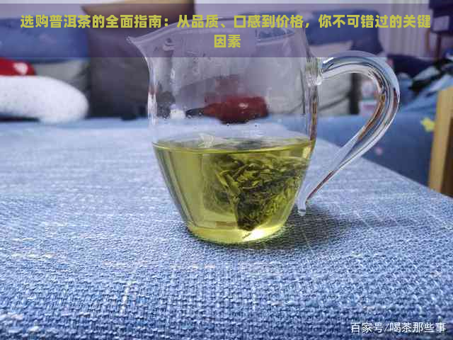 选购普洱茶的全面指南：从品质、口感到价格，你不可错过的关键因素