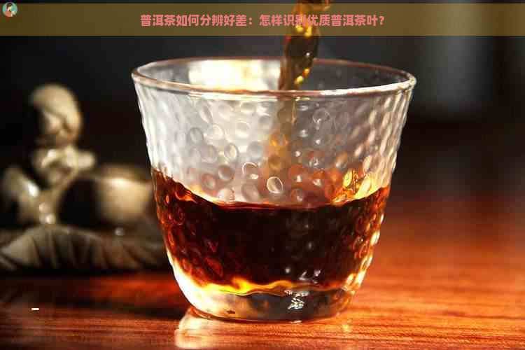 普洱茶如何分辨好差：怎样识别优质普洱茶叶？