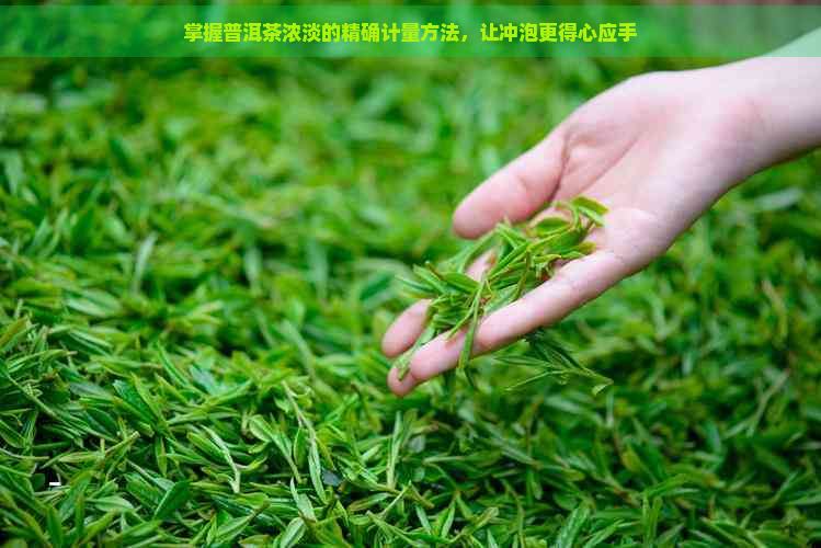 掌握普洱茶浓淡的精确计量方法，让冲泡更得心应手