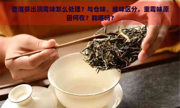 普洱茶出现霉味怎么处理？与仓味、堆味区分，重霉味原因何在？能喝吗？