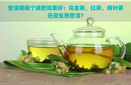 普洱茶哪个减肥效果好：乌龙茶、红茶、荷叶茶还是生熟普洱？