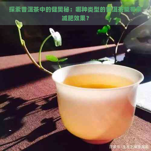 探索普洱茶中的健奥秘：哪种类型的普洱茶能带来减肥效果？