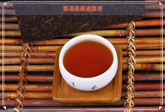 普洱茶邂逅英茂