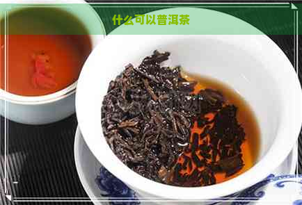 什么可以普洱茶