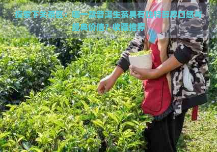 探索下关茶区：哪一款普洱生茶具有独特醇厚口感与经典价值？收藏推荐