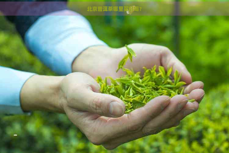 北京普洱茶哪里买好喝？