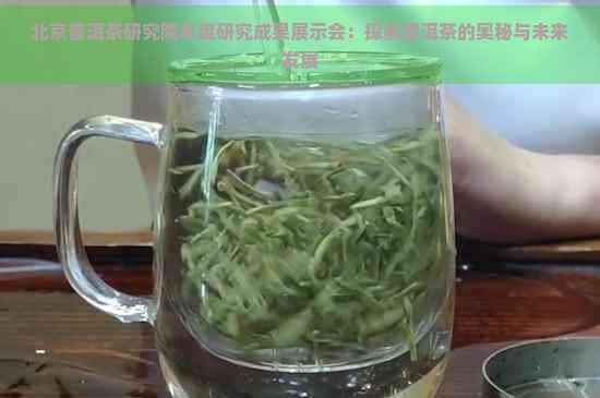 北京普洱茶研究院年度研究成果展示会：探索普洱茶的奥秘与未来发展