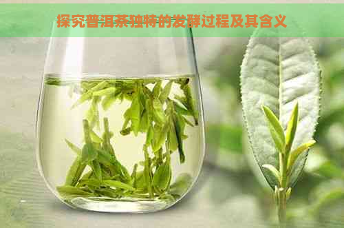 探究普洱茶独特的发酵过程及其含义