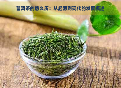 普洱茶的悠久历：从起源到现代的发展概述