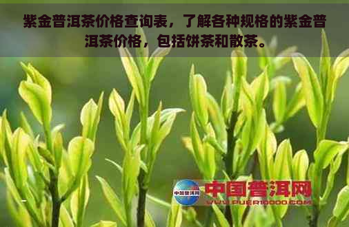 紫金普洱茶价格查询表，了解各种规格的紫金普洱茶价格，包括饼茶和散茶。