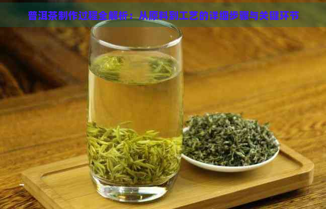 普洱茶制作过程全解析：从原料到工艺的详细步骤与关键环节