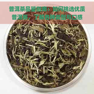 普洱茶品鉴指南：如何挑选优质普洱茶，了解各种类型与口感