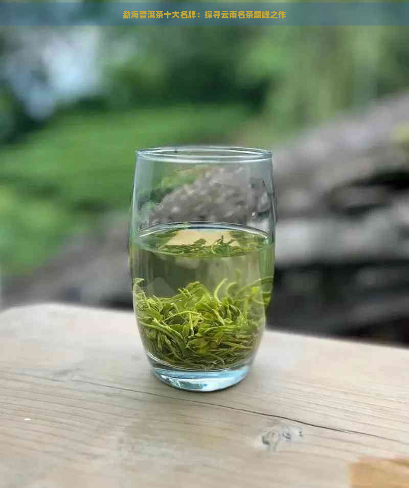 勐海普洱茶十大名牌：探寻云南名茶巅峰之作