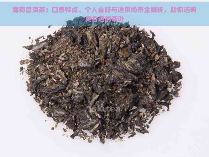 薄荷普洱茶：口感特点、个人喜好与适用场景全解析，助你选购更合适的茶叶