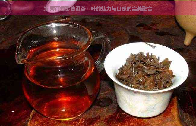 新 薄荷香醇普洱茶：叶的魅力与口感的完美融合