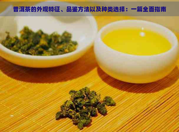 普洱茶的外观特征、品鉴方法以及种类选择：一篇全面指南