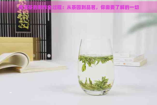 普洱茶的制作全过程：从茶园到品茗，你需要了解的一切