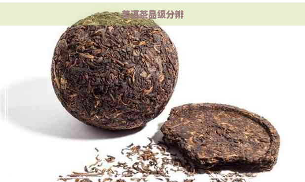 普洱茶品级分辨