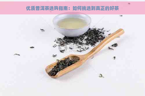 优质普洱茶选购指南：如何挑选到真正的好茶