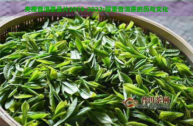 央视普洱茶录片2019-2022:探索普洱茶的历与文化