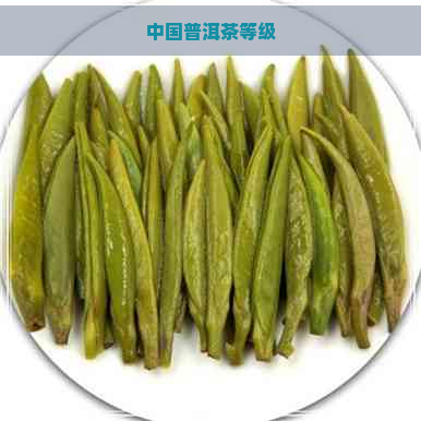 中国普洱茶等级