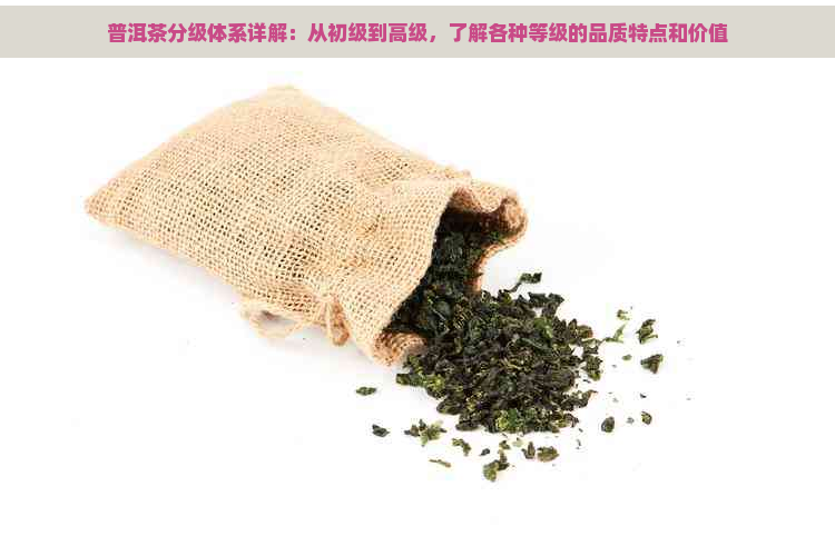 普洱茶分级体系详解：从初级到高级，了解各种等级的品质特点和价值