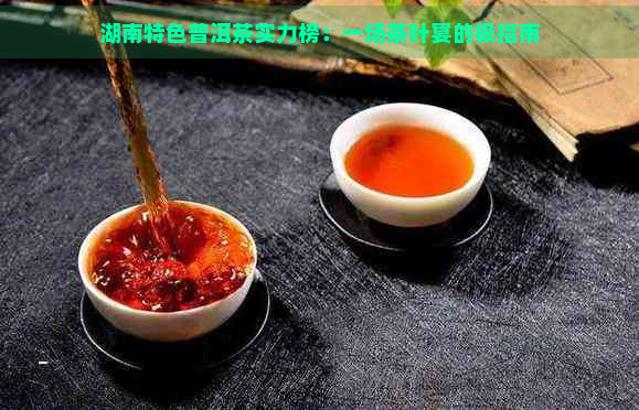 湖南特色普洱茶实力榜：一场茶叶宴的极指南