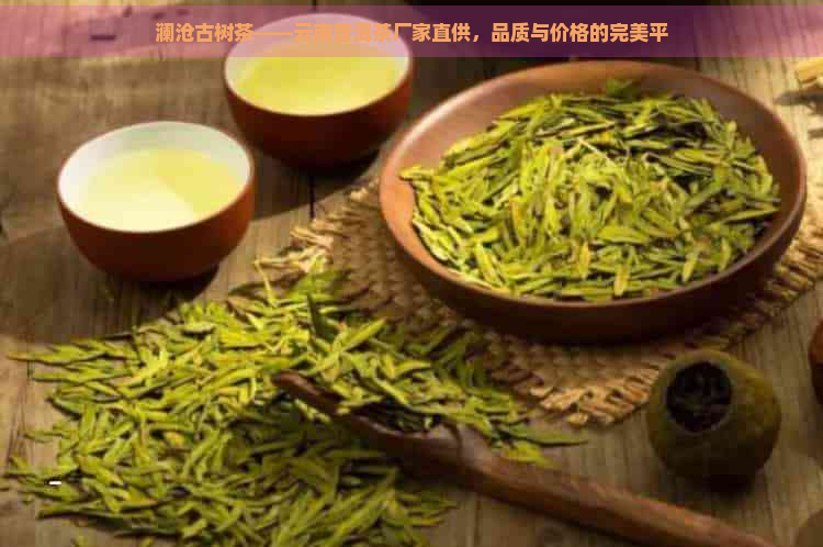 澜沧古树茶——云南普洱茶厂家直供，品质与价格的完美平