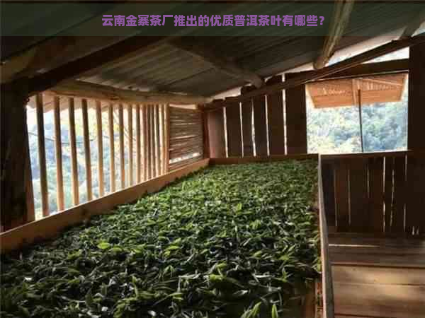 云南金寨茶厂推出的优质普洱茶叶有哪些？