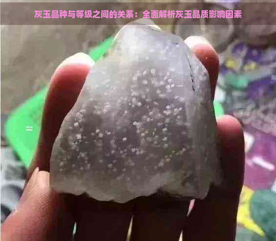 灰玉品种与等级之间的关系：全面解析灰玉品质影响因素