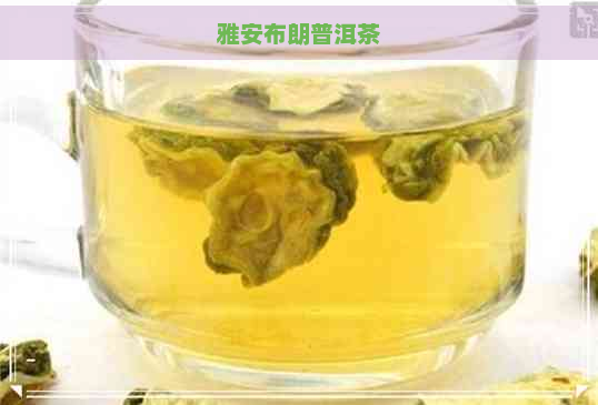 雅安布朗普洱茶