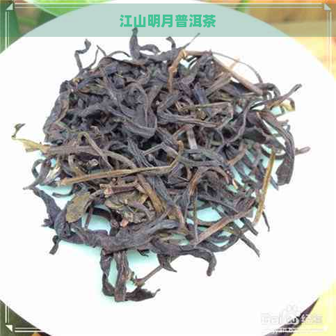 江山明月普洱茶