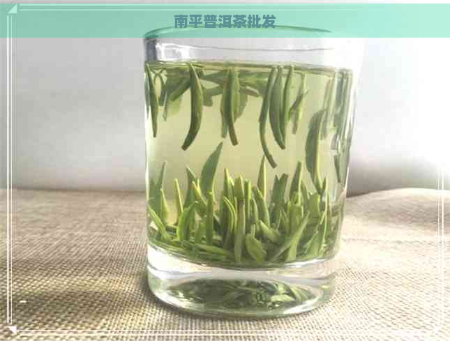 南平普洱茶批发