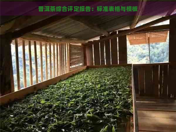 普洱茶综合评定报告：标准表格与模板