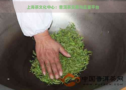 上海茶文化中心：普洱茶交易与品鉴平台