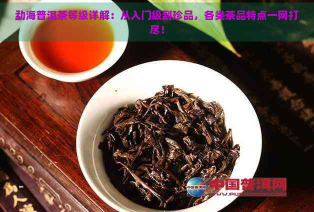 勐海普洱茶等级详解：从入门级到珍品，各类茶品特点一网打尽！